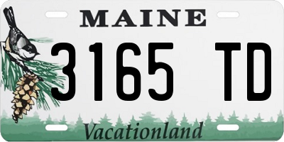 ME license plate 3165TD