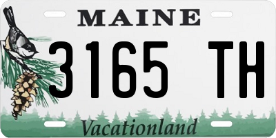 ME license plate 3165TH
