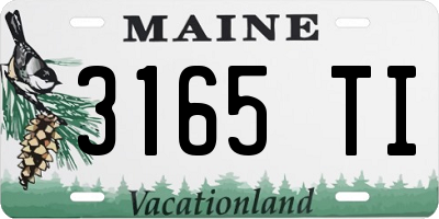 ME license plate 3165TI