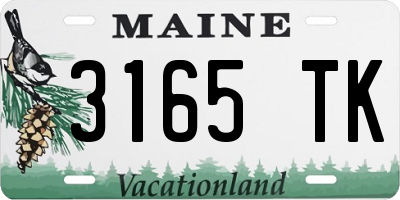 ME license plate 3165TK