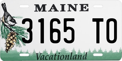 ME license plate 3165TO