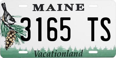 ME license plate 3165TS