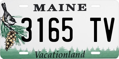 ME license plate 3165TV