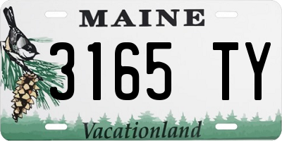 ME license plate 3165TY