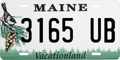 ME license plate 3165UB