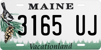 ME license plate 3165UJ