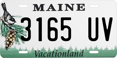 ME license plate 3165UV