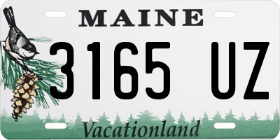 ME license plate 3165UZ