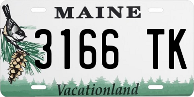 ME license plate 3166TK
