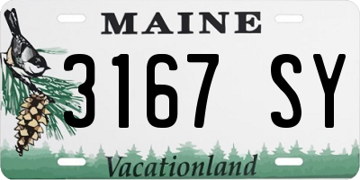 ME license plate 3167SY