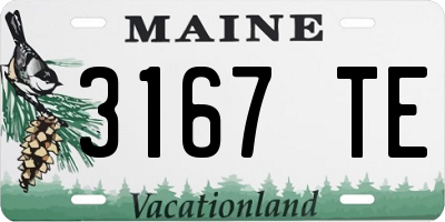 ME license plate 3167TE