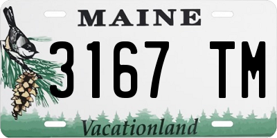 ME license plate 3167TM