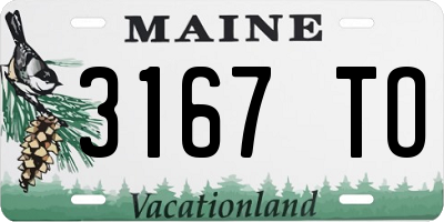 ME license plate 3167TO