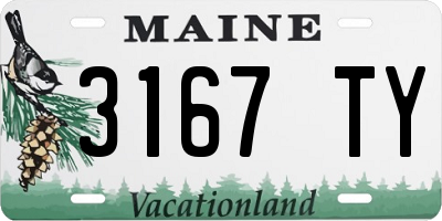 ME license plate 3167TY
