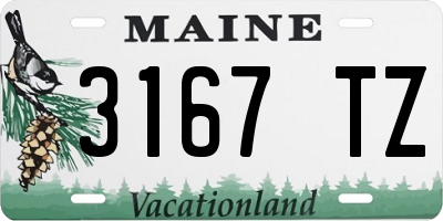 ME license plate 3167TZ