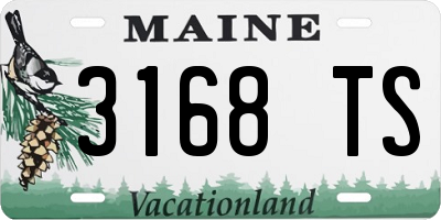 ME license plate 3168TS
