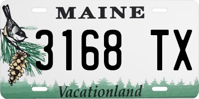 ME license plate 3168TX