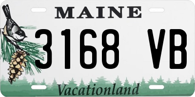 ME license plate 3168VB
