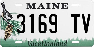 ME license plate 3169TV