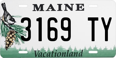 ME license plate 3169TY