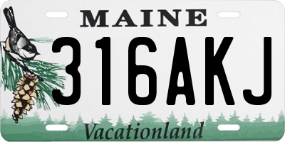 ME license plate 316AKJ