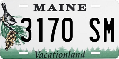 ME license plate 3170SM