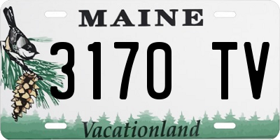 ME license plate 3170TV