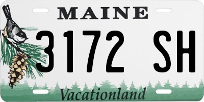 ME license plate 3172SH