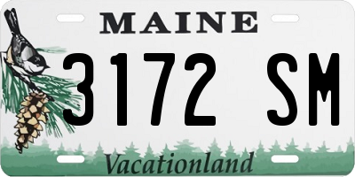 ME license plate 3172SM