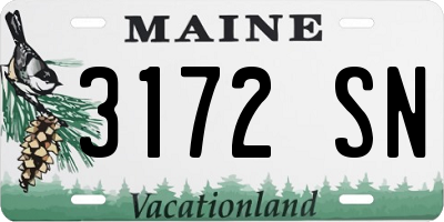 ME license plate 3172SN