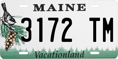 ME license plate 3172TM
