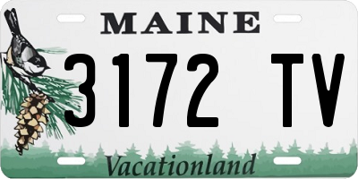 ME license plate 3172TV