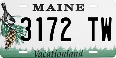 ME license plate 3172TW