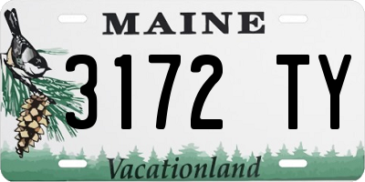 ME license plate 3172TY