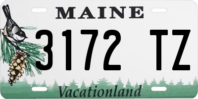 ME license plate 3172TZ