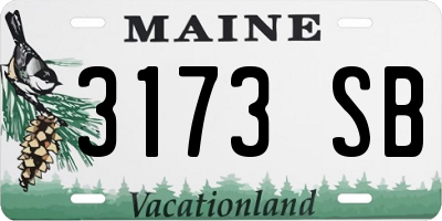 ME license plate 3173SB