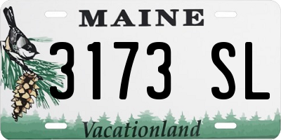 ME license plate 3173SL