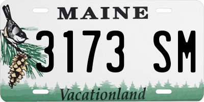 ME license plate 3173SM