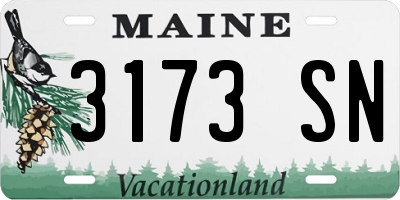 ME license plate 3173SN