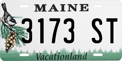 ME license plate 3173ST