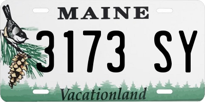 ME license plate 3173SY