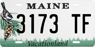 ME license plate 3173TF