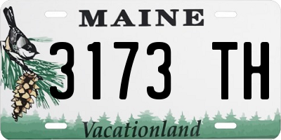 ME license plate 3173TH