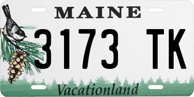 ME license plate 3173TK