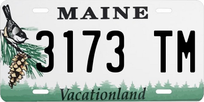 ME license plate 3173TM