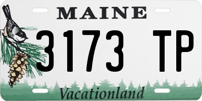 ME license plate 3173TP