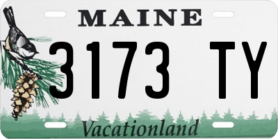 ME license plate 3173TY