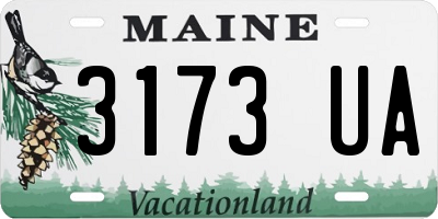 ME license plate 3173UA