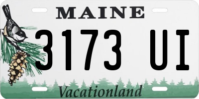 ME license plate 3173UI