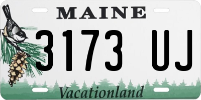 ME license plate 3173UJ